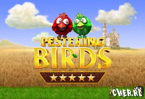 Pestering Birds