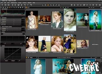 Capture One Pro  4.8.2