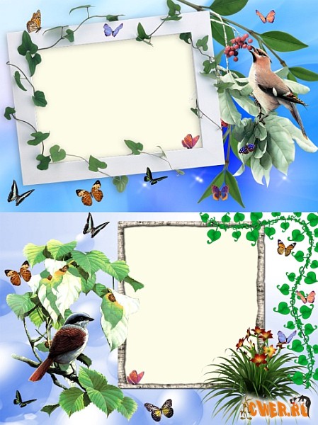 Две рамки с птицами
