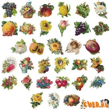 Dover - Color Fruits and Flowers Illustrations