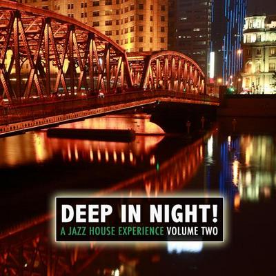 Deep in the Night! Vol 2. A Jazz House Experience 