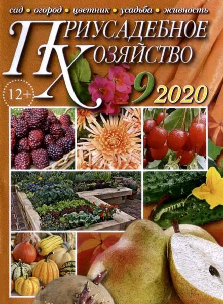 Приусадебное хозяйство №9 сентябрь 2020 + приложения Цветы в саду и дома Дачная кухня