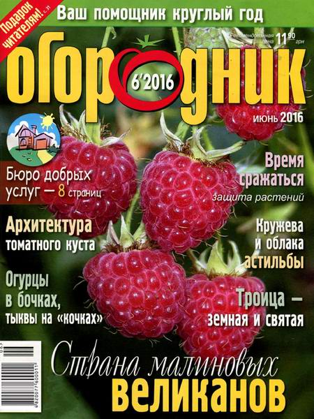журнал Огородник №6 июнь 2016