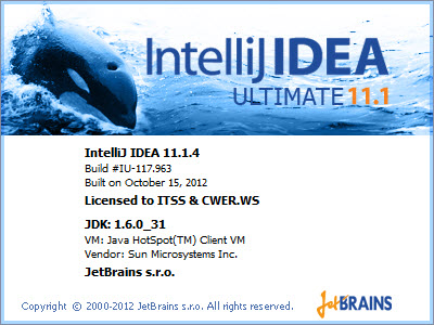 IntelliJ IDEA 11.1.4 Ultimate Edition