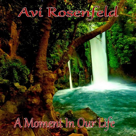 Avi Rosenfeld - A Moment In Our Life (2014)