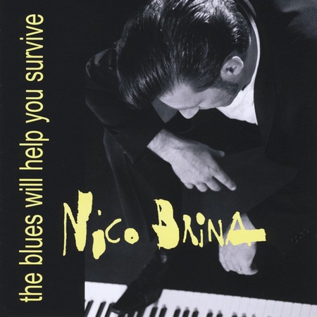 Nico Brina - The Blues Will Help You Survive (2012)