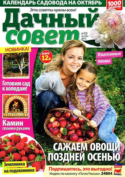 Дачный совет №10 2013