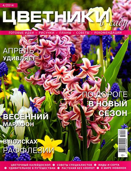 Цветники в саду №4 2014
