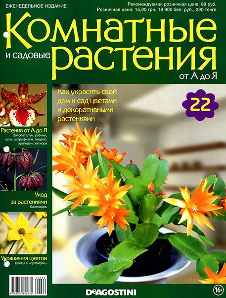 Комнатные и садовые растения от А до Я №22 2014