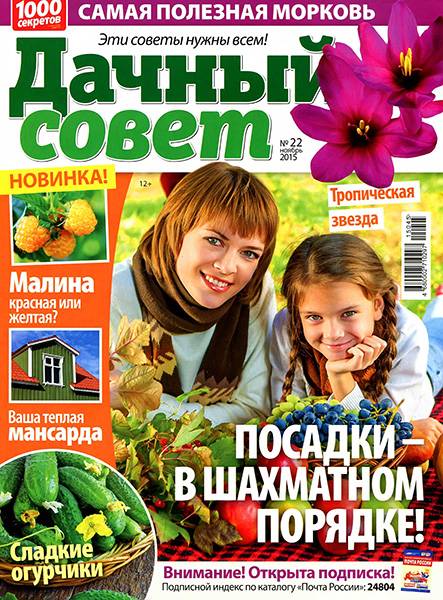 Дачный совет №22 2015