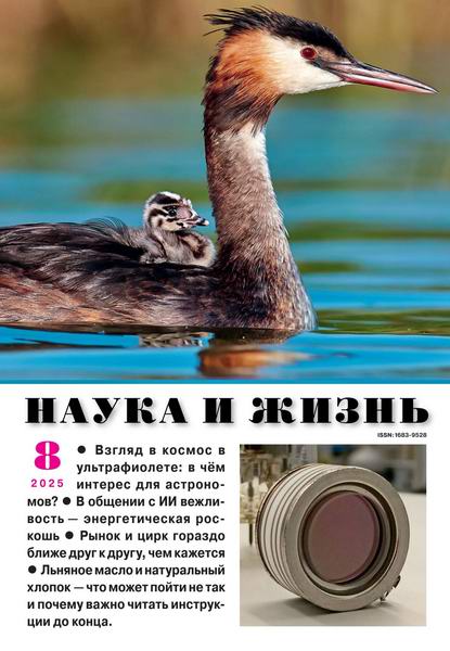 Наука и жизнь №8 август 2025