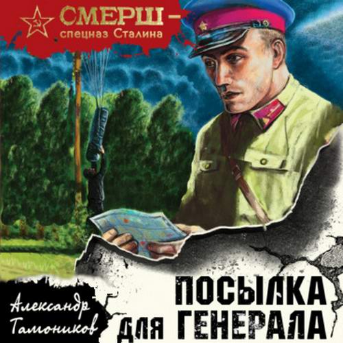 Александр Тамоников Посылка для генерала Аудиокнига