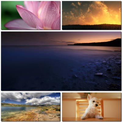 Nature Wallpapers Pack