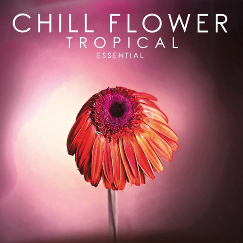 Chill Flower: Tropical Essential