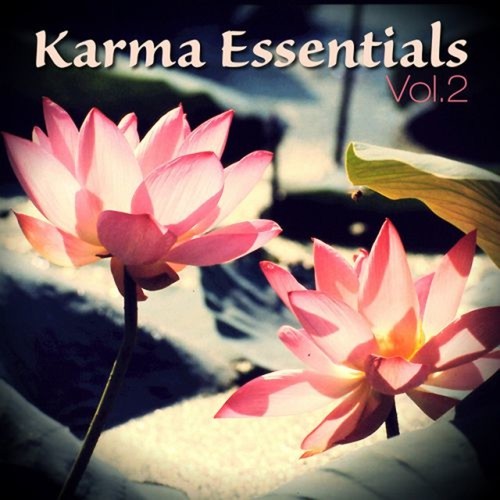 Karma Essentials Vol.2