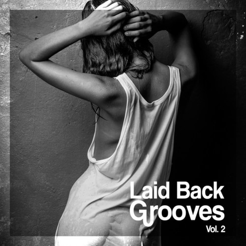 Laid Back Grooves Vol.2