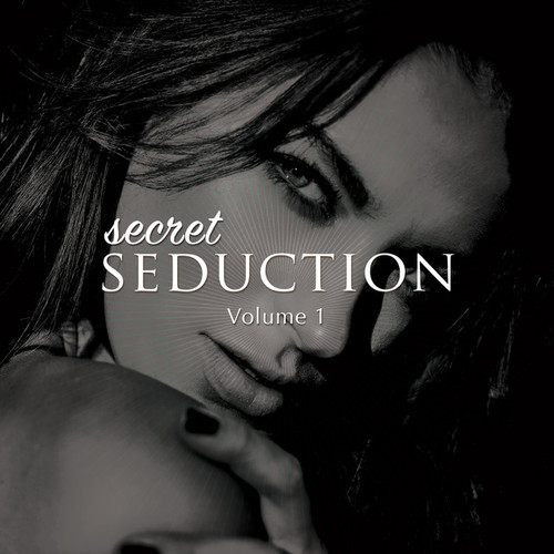 Secret Seduction Vol.1: Sexy Chill House and Down Beats
