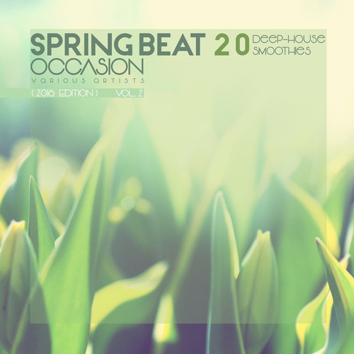 Spring Beat Occasion: 2016 Edition (20 Deep-House Smoothies) Vol.2