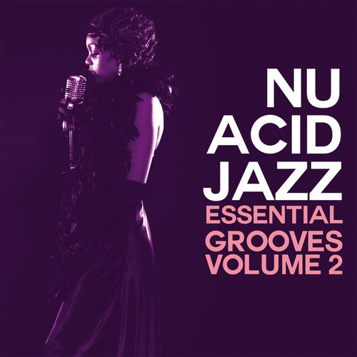 Nu Acid Jazz Vol.2: Essential Grooves