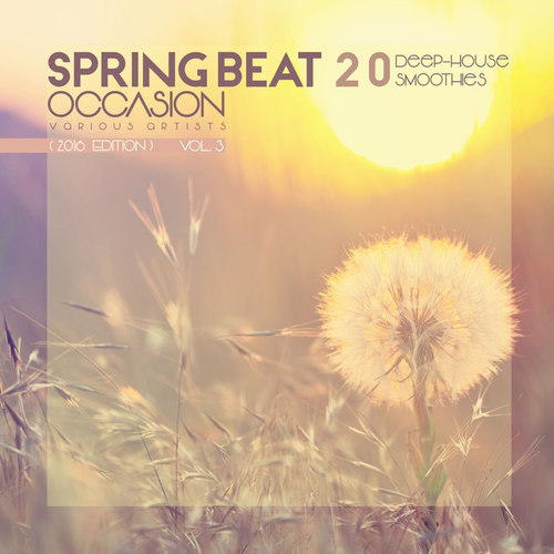 Spring Beat Occasion 2016 Edition: 20 Deep-House Smoothies Vol.3