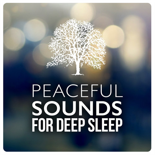 Peaceful Sounds for Deep Sleep