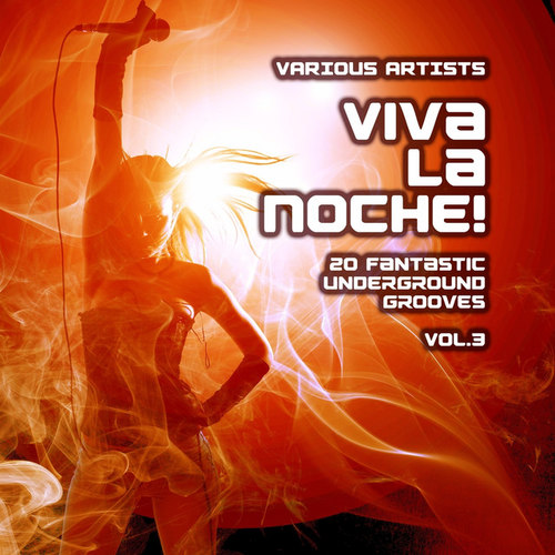 Viva La Noche! 20 Fantastic Underground Grooves Vol.3