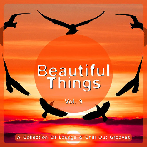 Beautiful Things Vol.9: A Collection of Lounge and Chill out Grooves