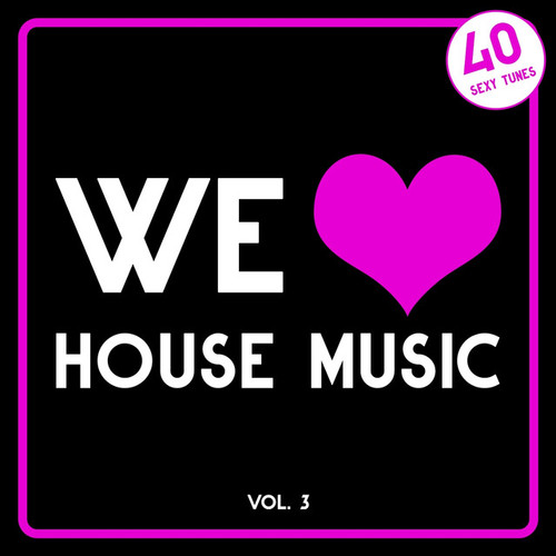We Love House Music Vol.3: 40 Sexy Tunes