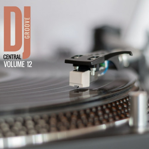 DJ Central, Groove Vol.12