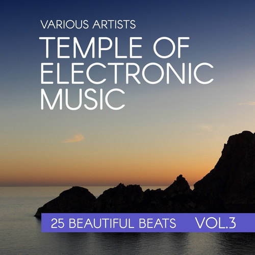 Temple Of Electronic Music: 25 Beautiful Beats Vol.3