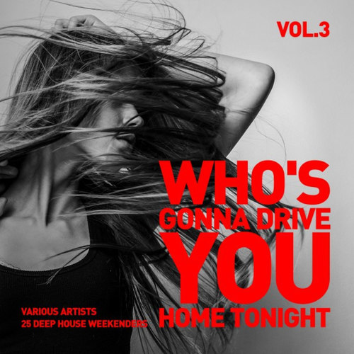 Whos Gonna Drive You Home Tonight: 25 Deep-House Weekenders Vol.3