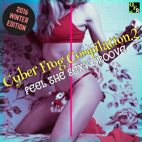 Cyber Frog Compilation 2: Feel The Sexy Groove
