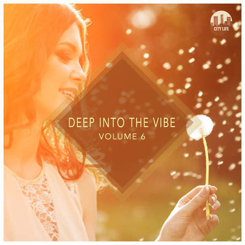 Deep into the Vibe Vol.6