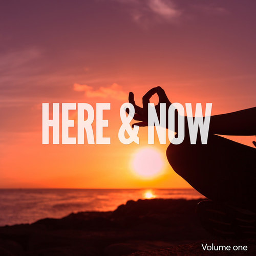 Here and Now Vol.1: Moments of Chill Out and Relaxing