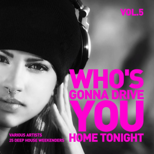Whos Gonna Drive You Home Tonight: 25 Deep-House Weekenders Vol.5