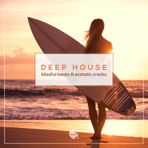 Deep House Blissful Beats and Ecstatic Cracks