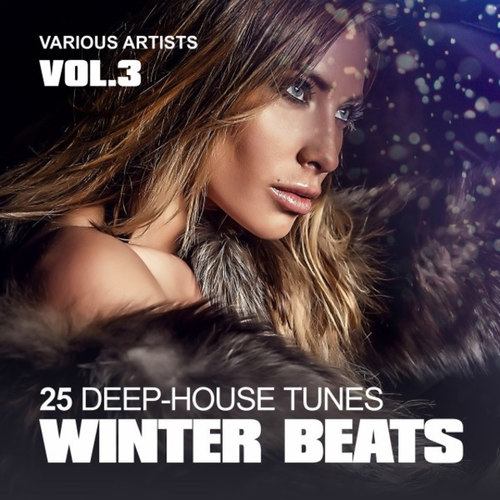 Winter Beats: 25 Deep-House Tunes Vol.3