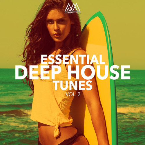 Essential Deep House Tunes Vol.2
