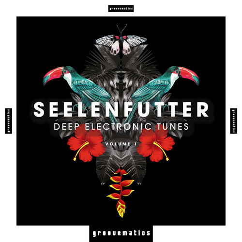 SeelenFutter Deep Electronic Tunes Vol.1