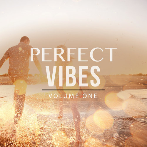 Perfect Vibes Vol.1: Selection Of Finest Deep House and House Music