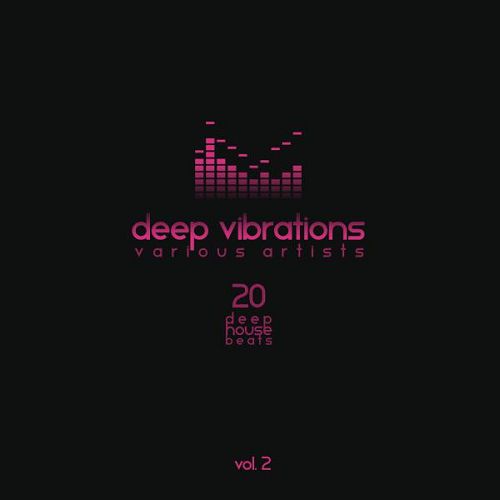 Deep Vibrations Vol.2: 20 Deep House Beats
