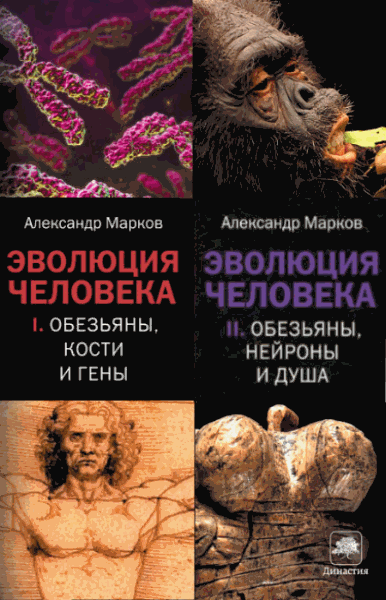 Александр Марков. Эволюция человека. Полный цикл в 2-х томах