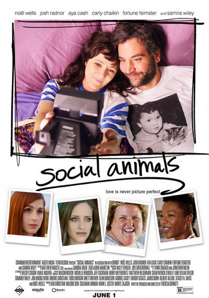 Social Animals 
