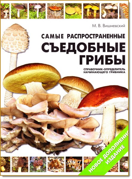 М. В. Вишневский. Самые распространенные съедобные грибы