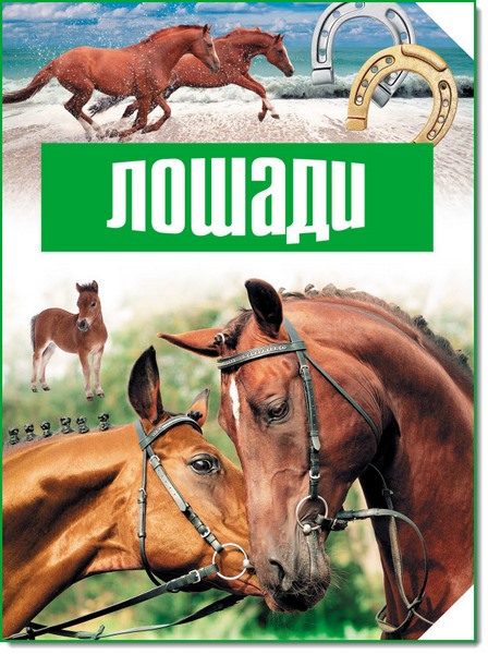 Лошади. Современная детская энциклопедия