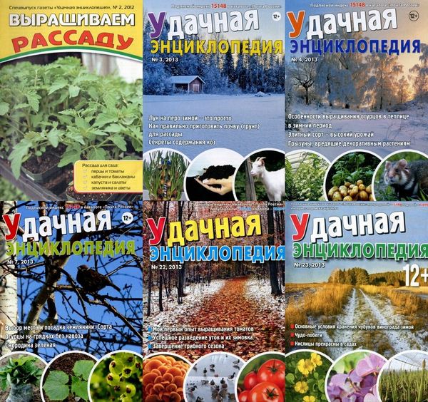 Удачная энциклопедия. 6 номеров (2012-2013)