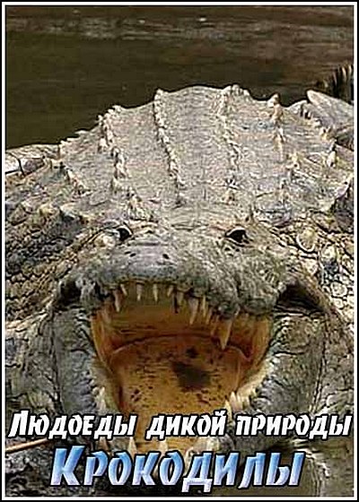 Lyudoedyi_dikoj_prirodyi_Krokodilyi
