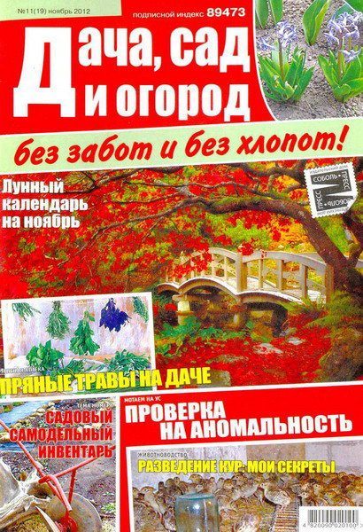 Дача, сад и огород без забот и без хлопот №11 (ноябрь 2012)