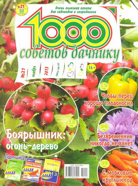 1000 советов дачнику №21 (ноябрь 2013)