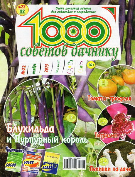 1000 советов дачнику №22 (ноябрь 2013)